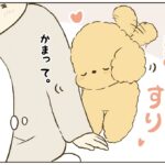 猫みたいなトイプードル