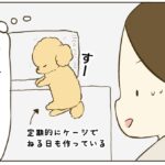 ときどき赤ちゃん