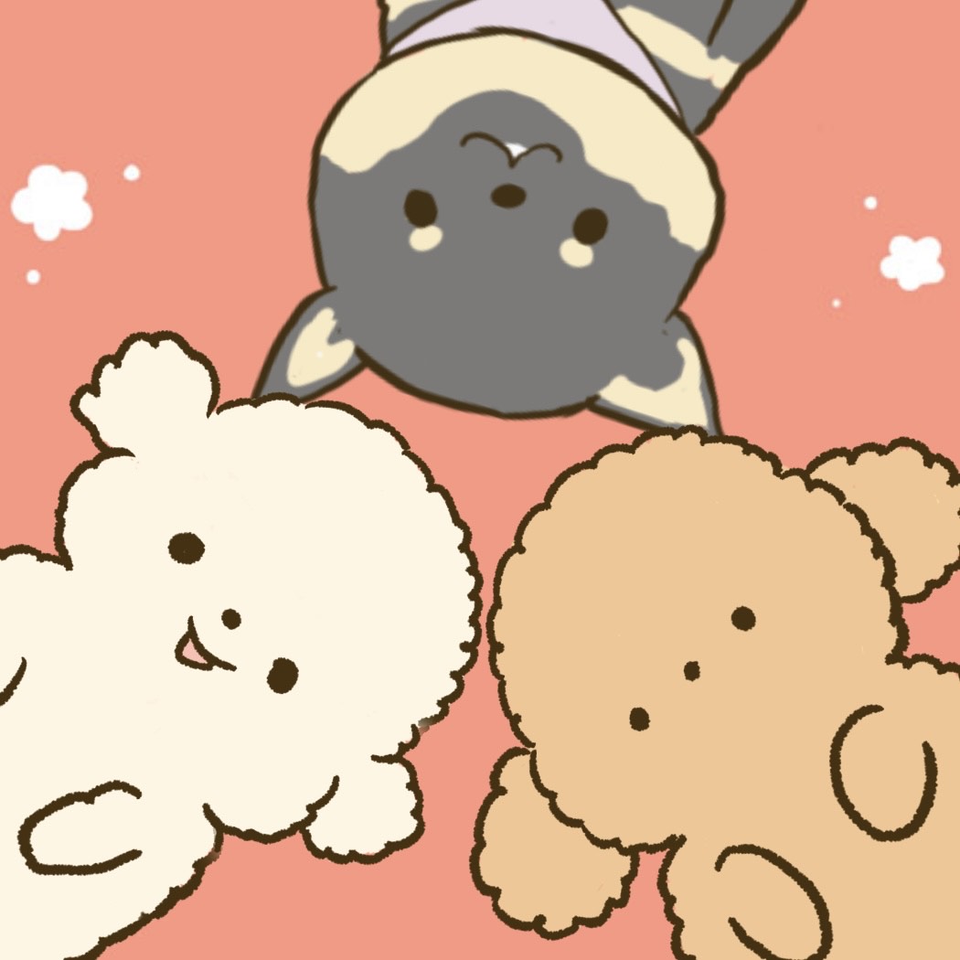 小豆あずき