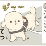 １カ月リーダウォーク練習をした結果…