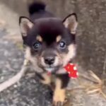 動画まとめ（生後３カ月）